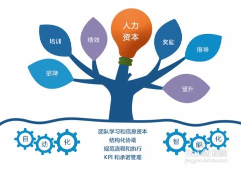 信息化管理賦能企業(yè)運(yùn)營(yíng) 以信息咨詢服務(wù)為核心